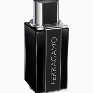 Salvador Ferragamo Sublime Leather Pour Homme